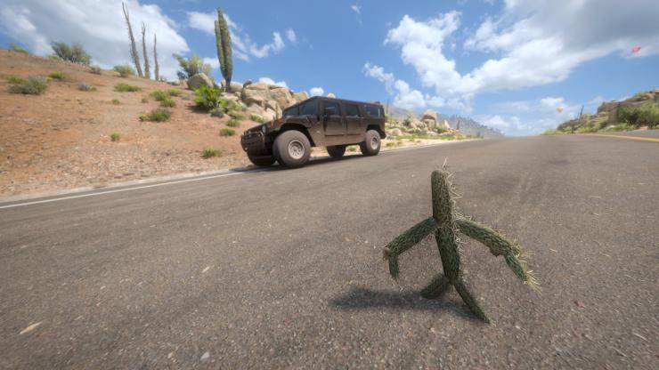 Cactus Man